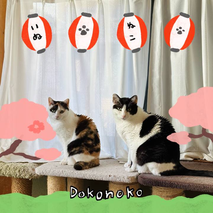 541dedc1 108a 425f a529 9b1d29a23812 1712196851638