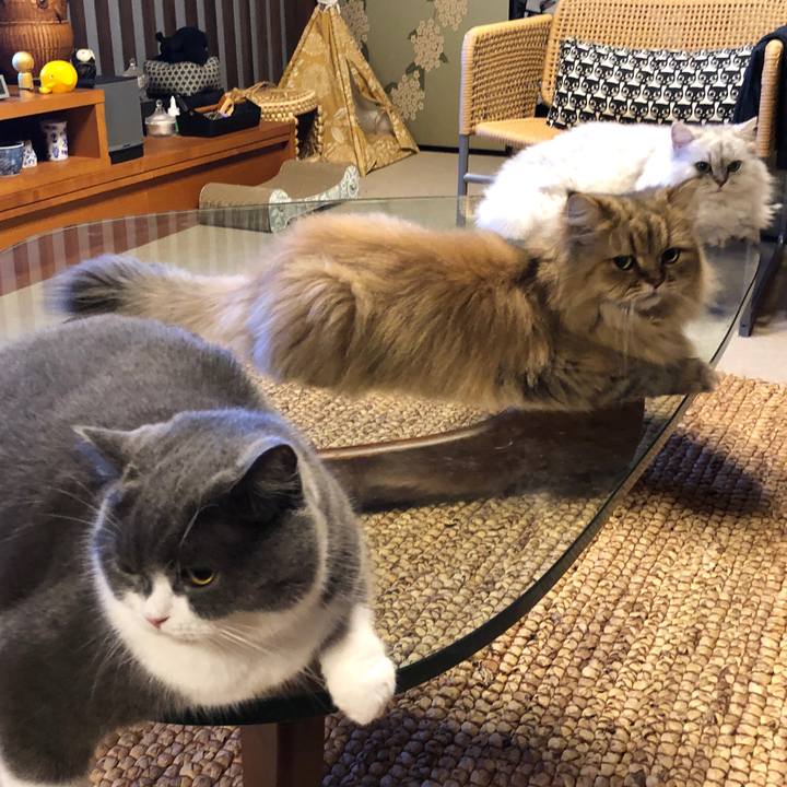 541df353 b3ad 44c4 87fb 311ec7125b97 1600951191953