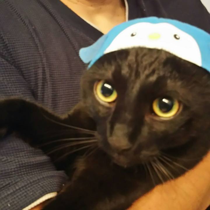 541e186e f3a0 4830 8f7e 81b0a44ab787 1517581861113