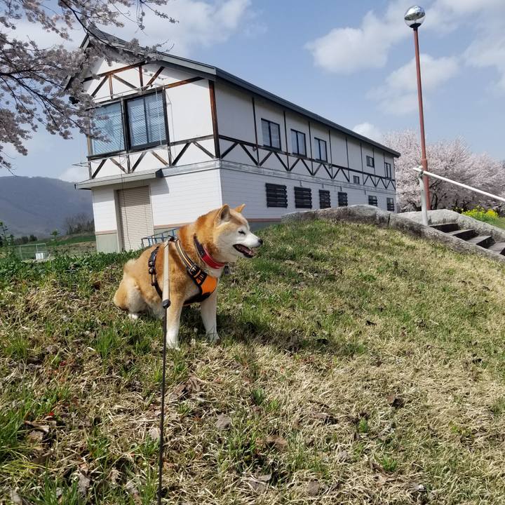 541e6d70 7980 4a2e afe5 e413d8ebe05a 1713340063523