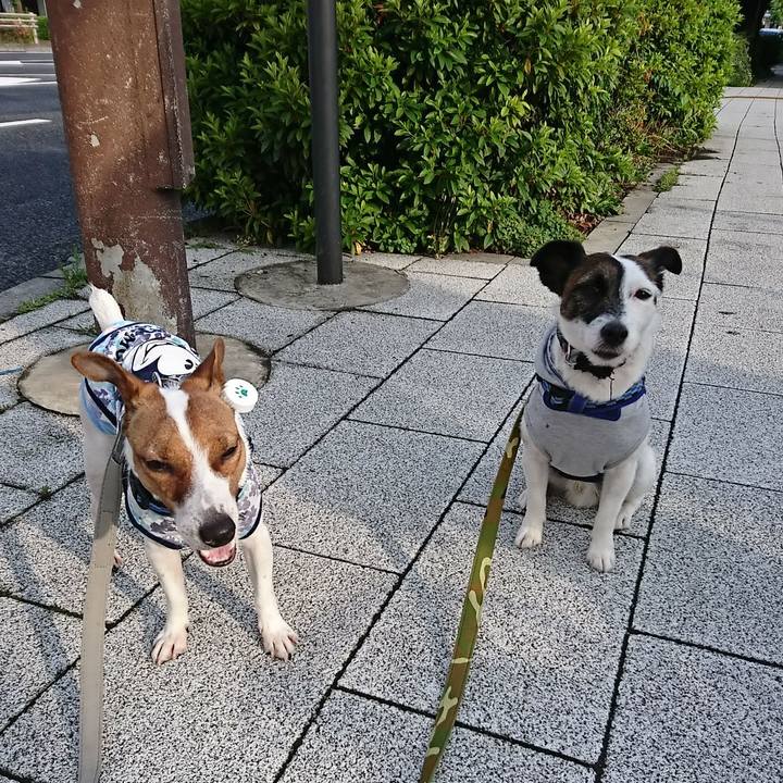 541e75ea a6ea 4f6c 9aae 7346955507a4 1527717134043