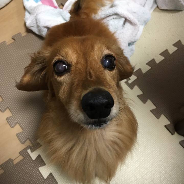 541ea7b7 3268 4b72 bf32 ed7cb0d7b60f 1591444679165