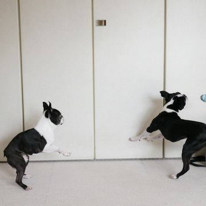 541eae29 7957 4b9b 97f8 32ba5624f5df 1554938802194