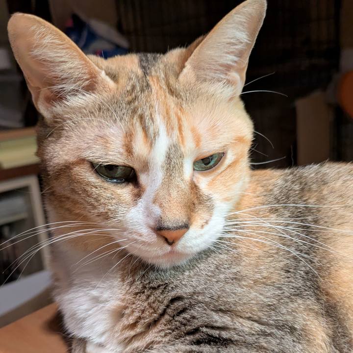 541ed4a3 3b53 4591 a171 a13bfbd81c6c 1759771790549