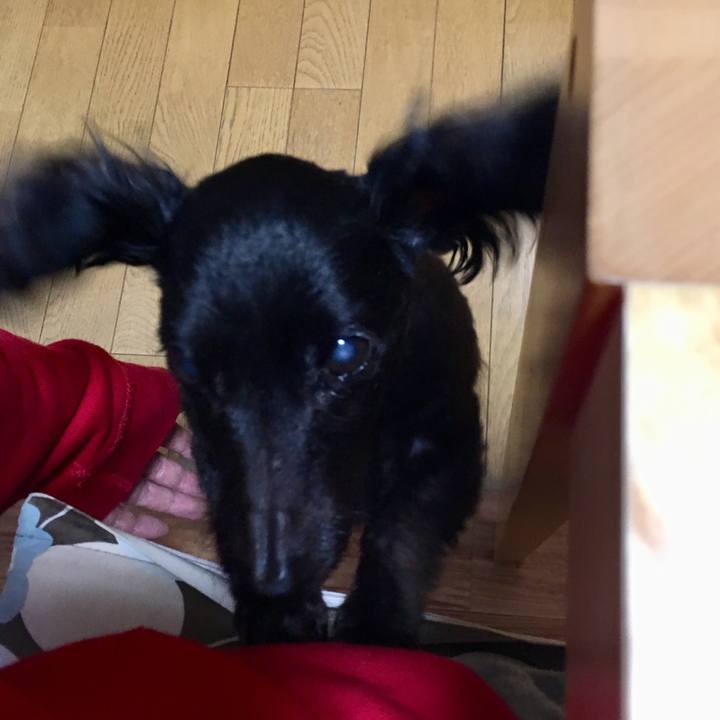 541ed840 1b12 4141 bb74 1f85a000bab9 1544047235439