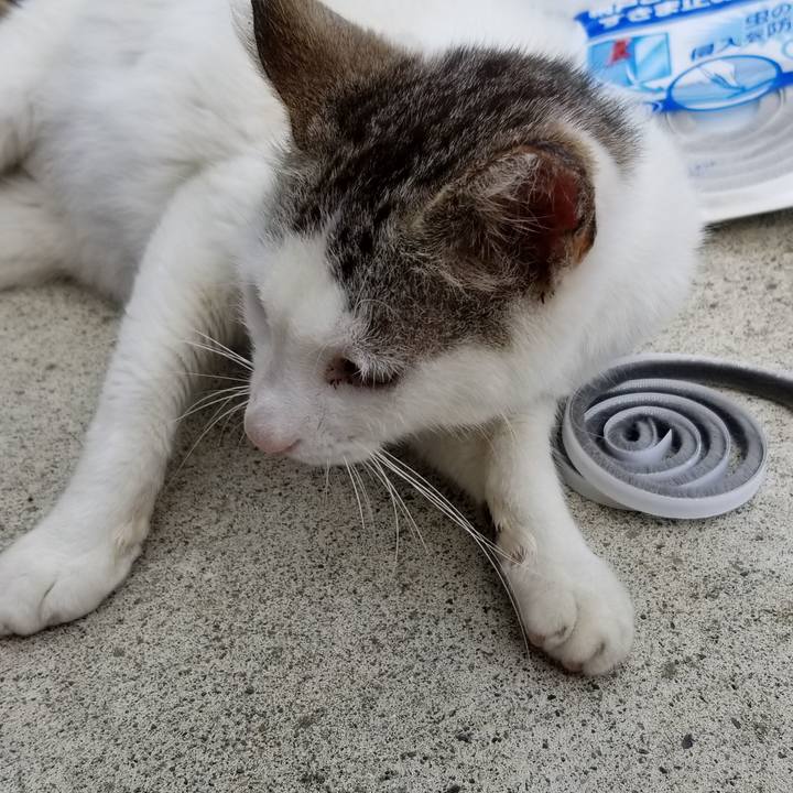 541f0b2a 60ae 4d9a b823 d6fafe961b02 1687012005856