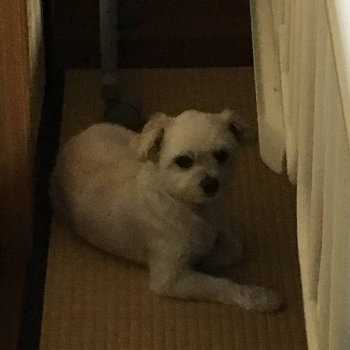 541f26cf 9641 4c26 b615 2a7864a271c1 1534935596238