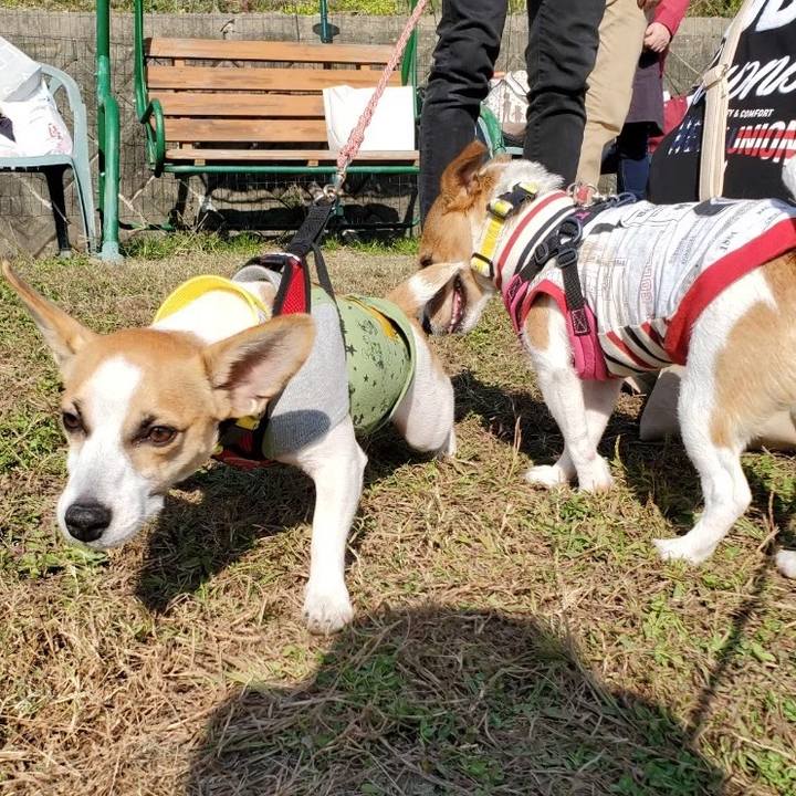 541f2f6a 2d30 4940 9921 46e71366697e 1588552303129