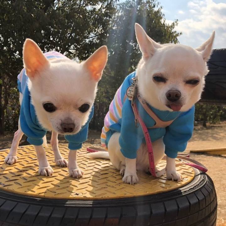 541f3701 a890 4fc3 a3e9 e746a5a11fce 1550496815796