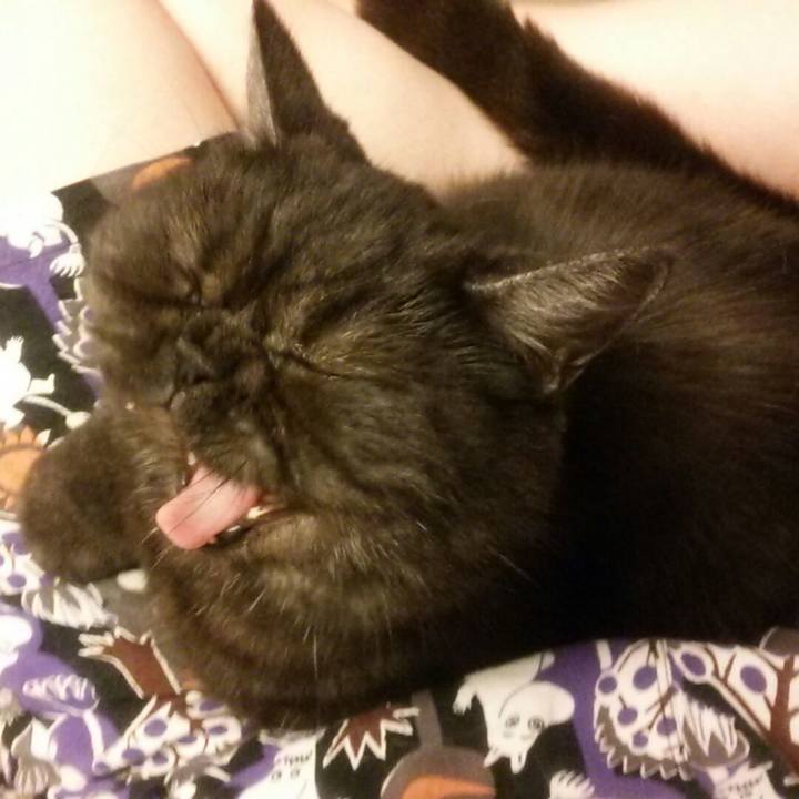 541f3f26 51c3 4286 b447 35882cddb604 1562501550878