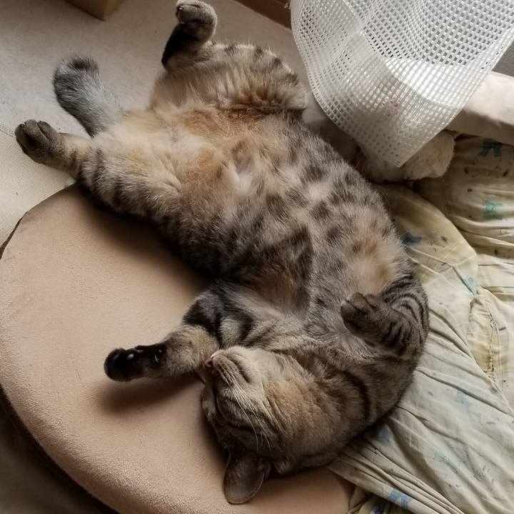 541f42d5 a660 4ccf a3af 15745199aba0 1690907786476