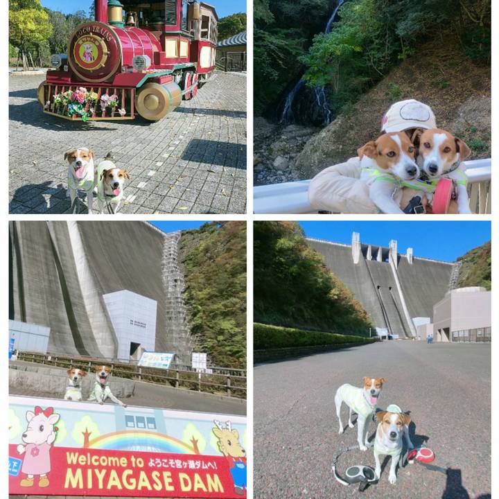 541f4602 2fdd 43b0 ac8c a3d3b7d2e2b2 1762501570980