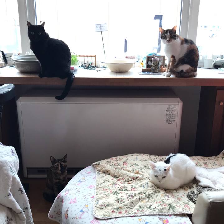 541f4dee 6964 4423 9e55 c933ee7abb14 1643928753021