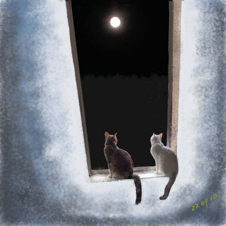 541f6018 14a9 48ed ad08 3f7fb21ef3f5 1662815435651