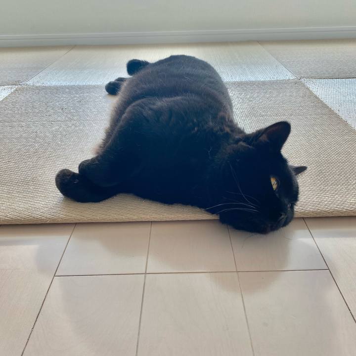 541f9572 05ae 4da7 a9d9 40ee486d2985 1772953233884