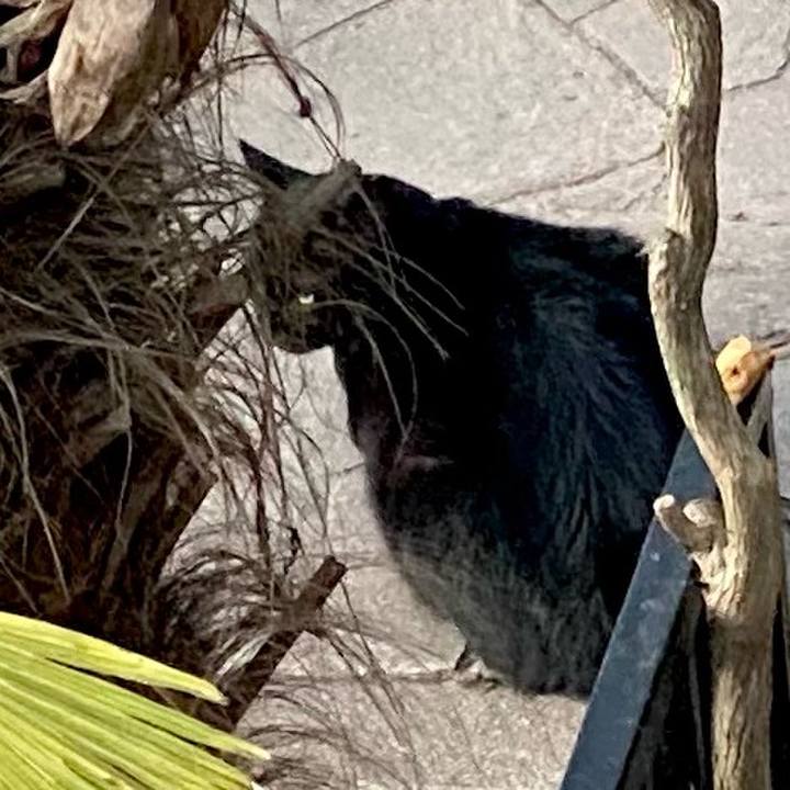 541fb153 c3cf 4b2c 85cd 2a8acec548e2 1667442487767