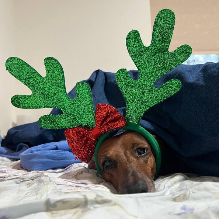 54200622 bcaa 47e8 b402 c72a474675c0 1766606546657