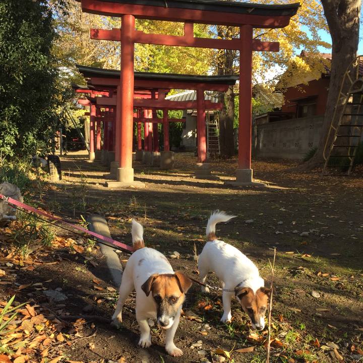 54200919 5e64 4401 87d1 9712b6ed60d9 1511580550405