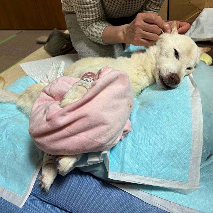 54201d94 1f32 4c7f 9230 4e76280446d8 1706133736749