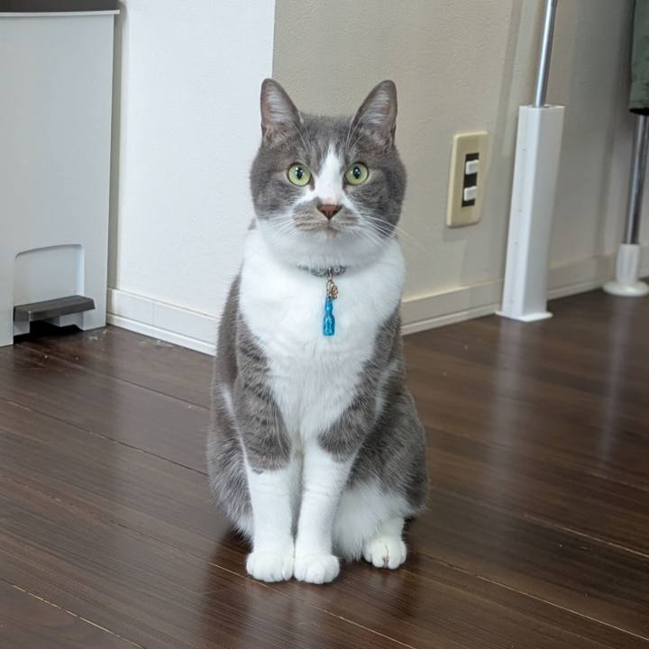 54202c4a 2cf6 4d13 bdf0 f55d596ebb73 1747023303148