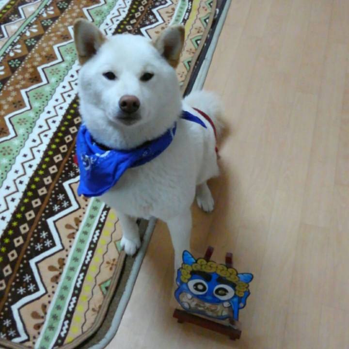 54204651 d34f 44c1 ae09 313c23328257 1508654920742