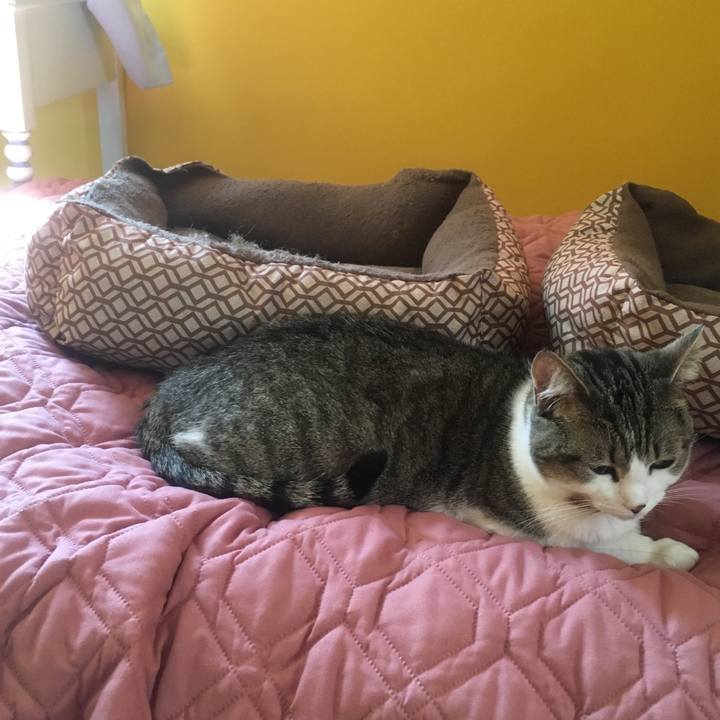 54207075 9d65 4ecd 9046 58c506c93f95 1617753635399