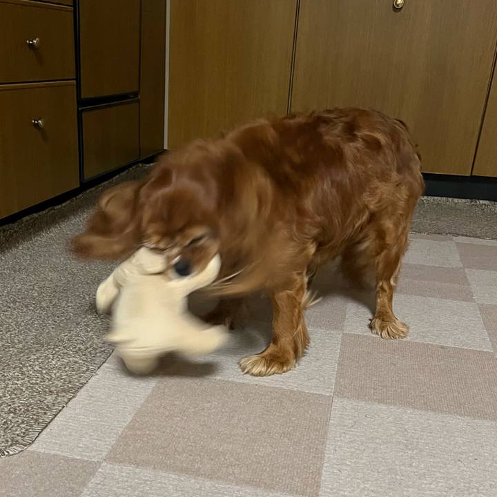 542070c1 fd0f 4a93 bf38 c1f12e351a90 1721990535230