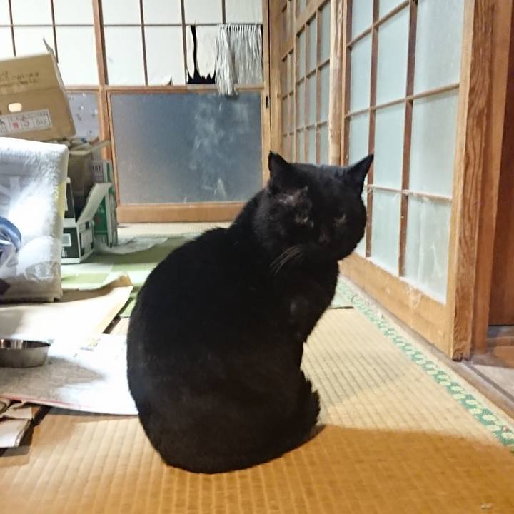 542097f5 41e5 461d 94be 648b0a60ff7c 1616236729573