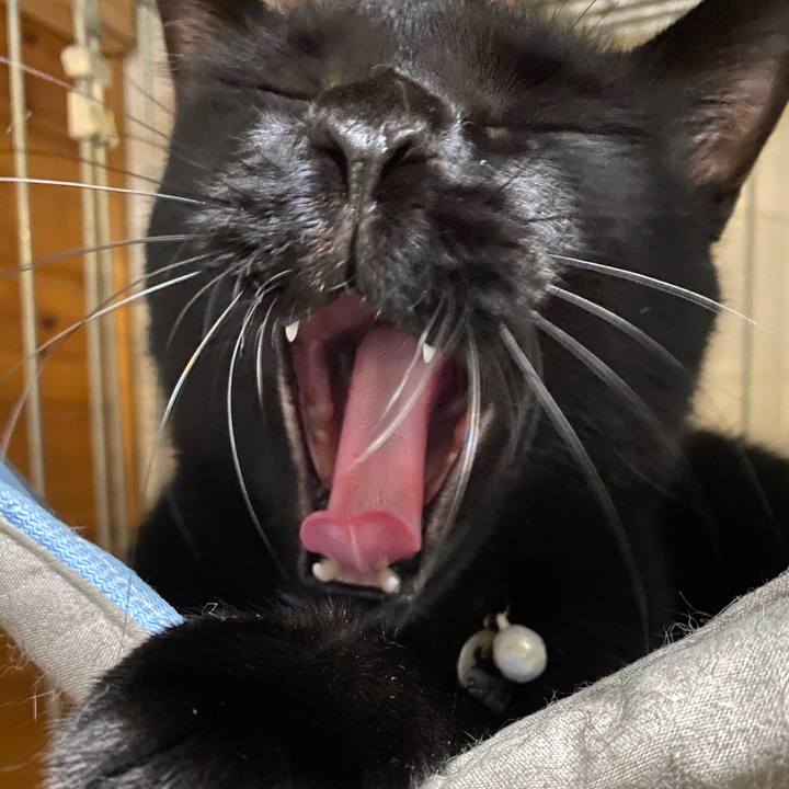 54209cc2 11fa 437b 93c8 a52749cd628a 1599208239093