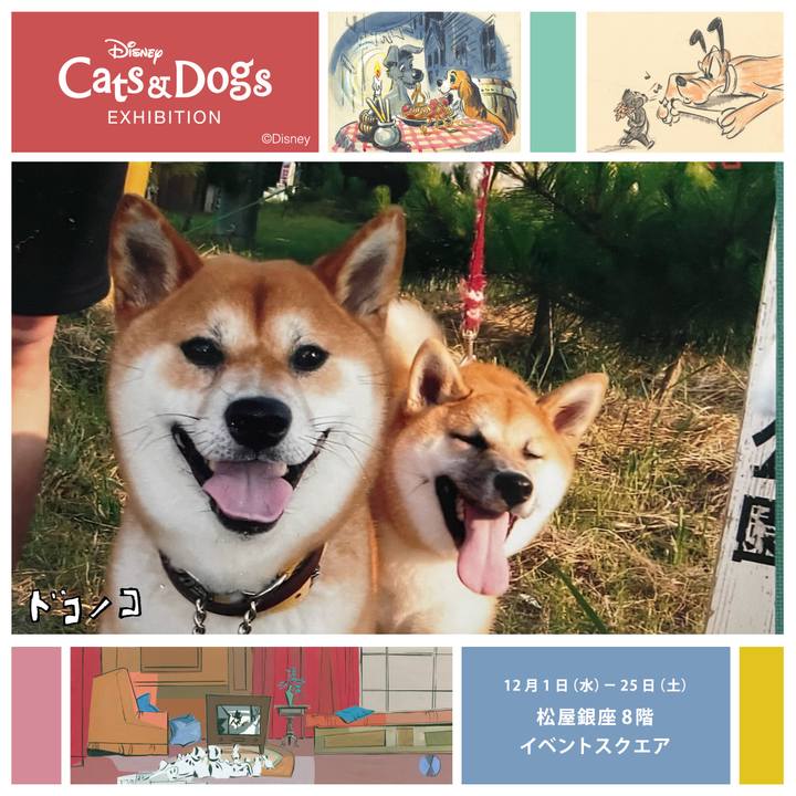 5420ae58 d54e 47af a0b9 6cc5c5f19787 1638337389289