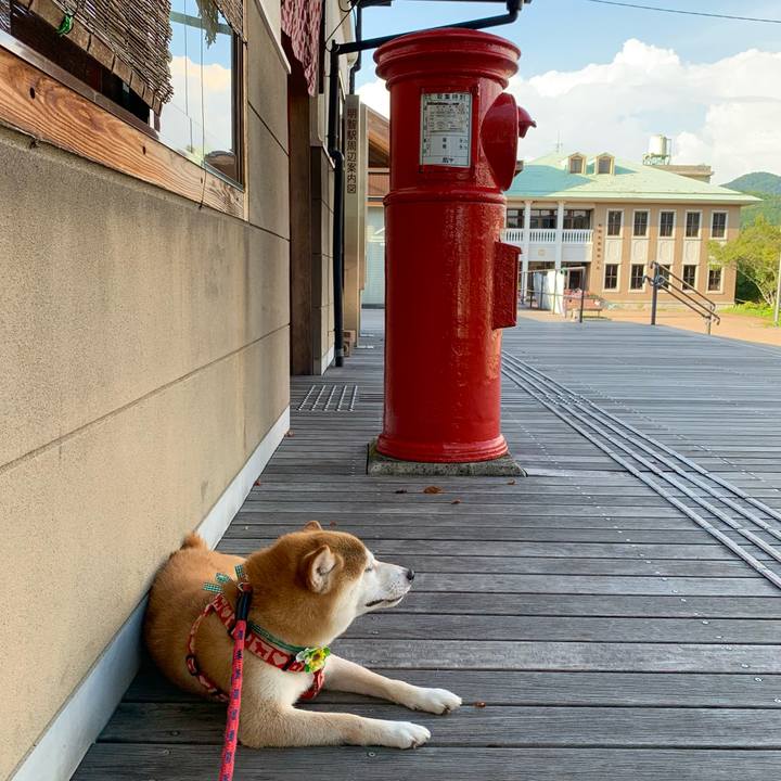 5420aed4 3720 442a a69c c9983ea38736 1628417795666