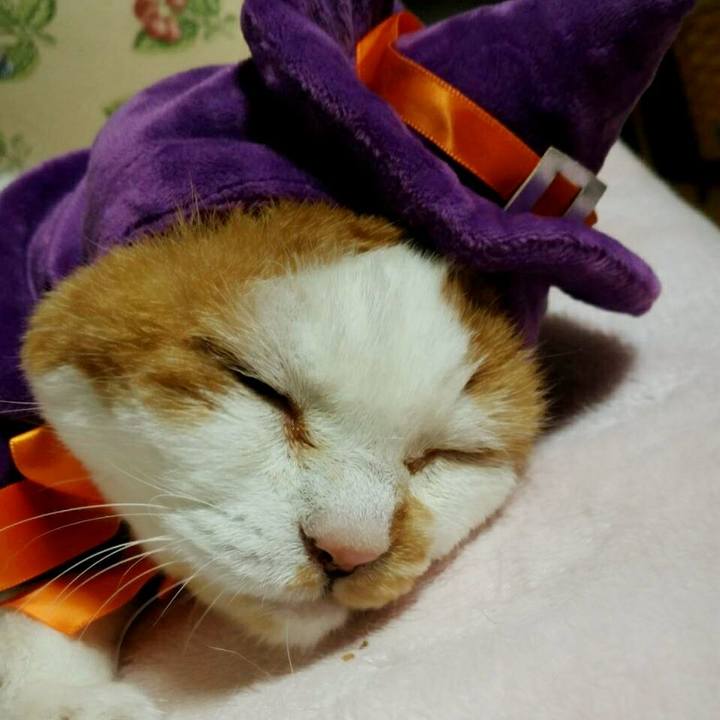 5420dde5 fe9b 49b8 8eb9 b8cc3e307a05 1509367858709