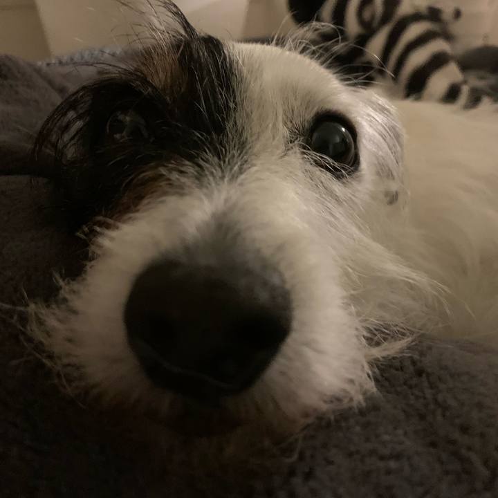 5420e9fc 196b 4cf3 b855 66d71ee5a3e3 1686229049706