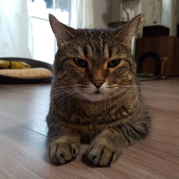 54211806 0a52 4df2 86c0 28545026f7fd 1564949287624