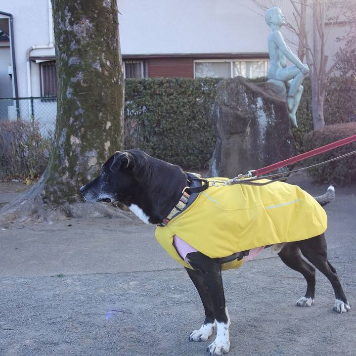 54213888 74df 4c15 9d6c 85a5ebe9abbb 1740270504993