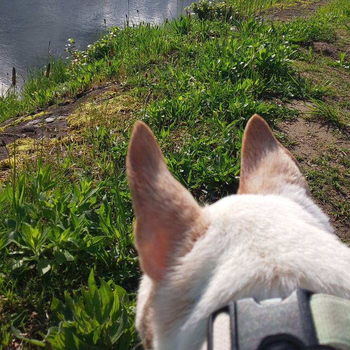 5421509d bc64 4f4c 80ce 5790eb49de94 1556323849086