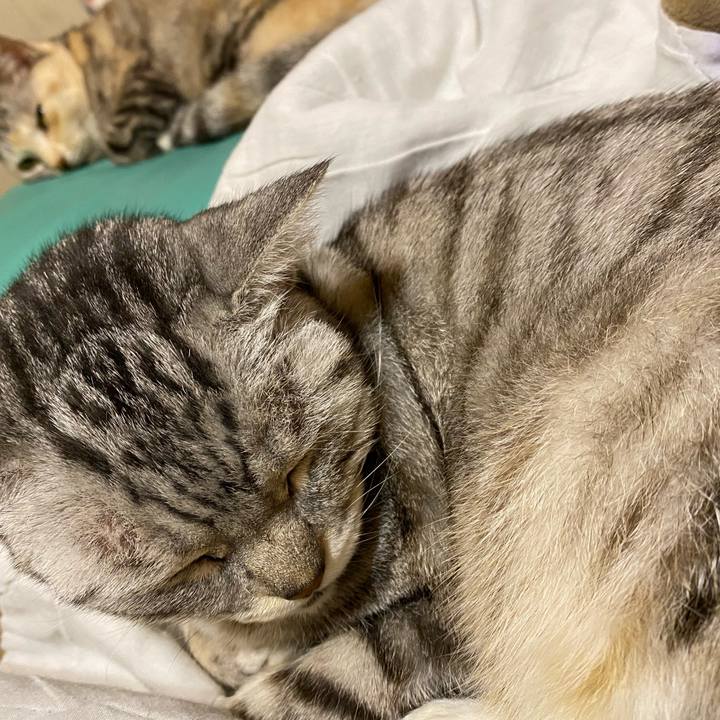 5421a823 ece5 407e a06b 7f706425f6c9 1636940944791