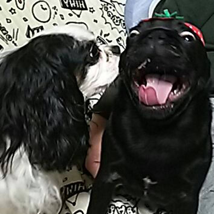 5421afd7 1a58 4c57 87c5 c46eb959613b 1527424759265