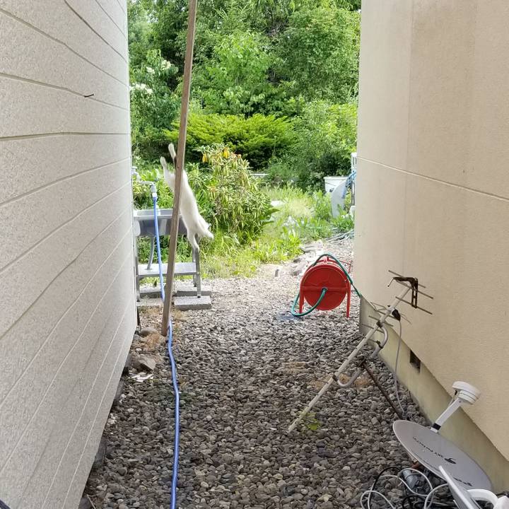 5421e431 959d 494b a375 e03205d071c3 1625875188613