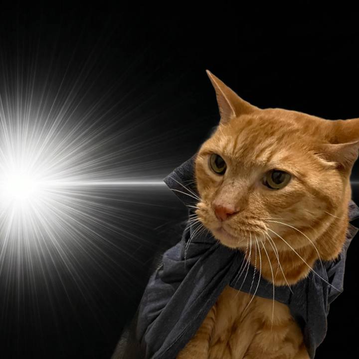 54222930 bb45 469d b58e 8cbad81371d7 1775652669757