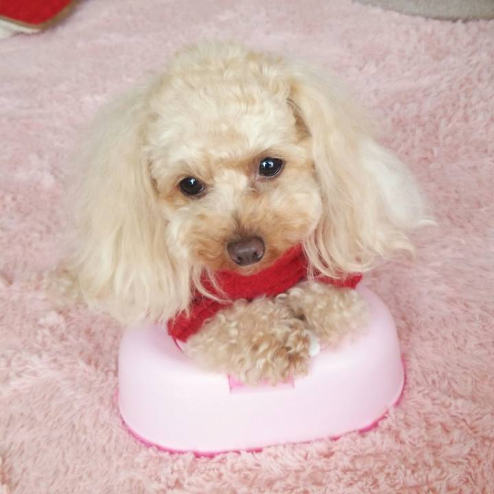 54223370 67e6 48e9 a6d0 ad257810f974 1520422650284