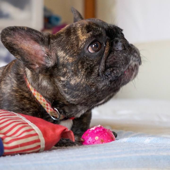 54223466 96ce 45c1 b53a 2121c9d5fb44 1566033005410