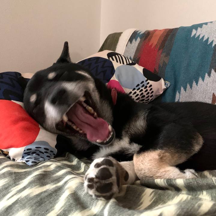 54226ff0 00f3 450c b745 126059643ed9 1572326388102