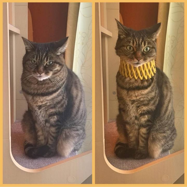 5422b0c1 0127 49e1 bd51 fe1963c70594 1764671199726