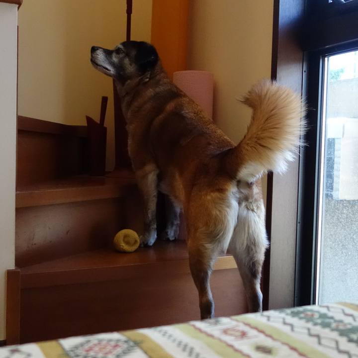 5422c46f 1c09 4b3c be9f e633f9b9a71f 1635122069487