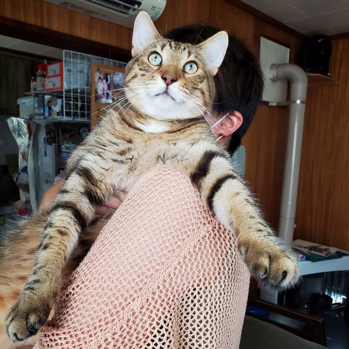 5422d351 8688 460d b1a8 1515d23b532b 1725010356602