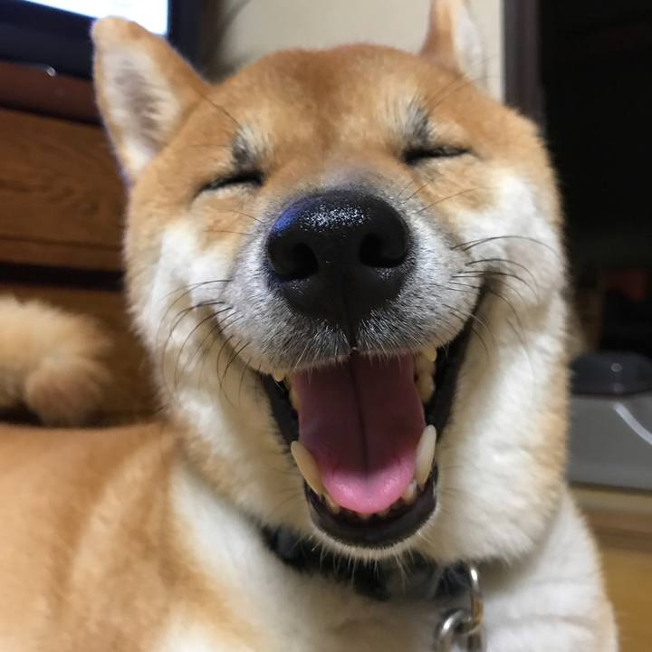 54231747 0914 42ba 943a 234f5966c97c 1524095682823