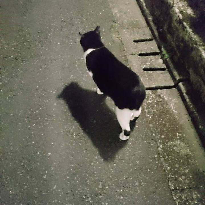 542338b9 a02f 4393 aa1e eaeae7f60df8 1524307552742