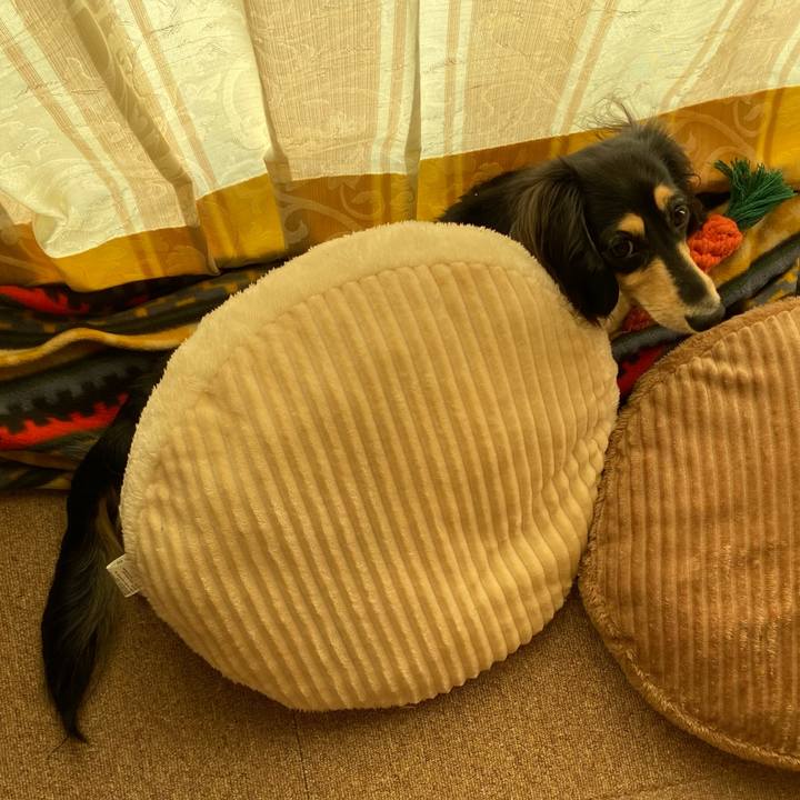 5423393c 8251 4635 adcb 54e87ba4953d 1701656939732