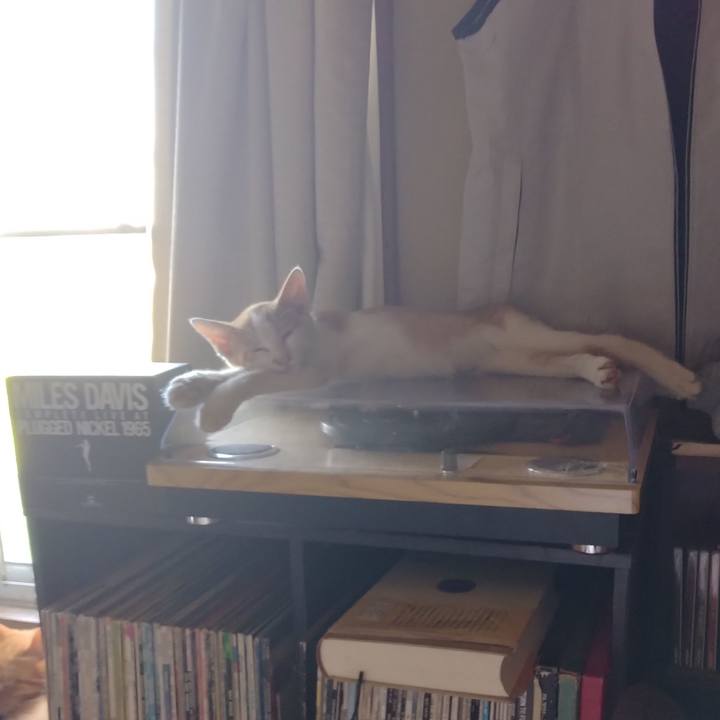 5423563c 6d39 4e33 afce 1671c64dda4c 1725945471237